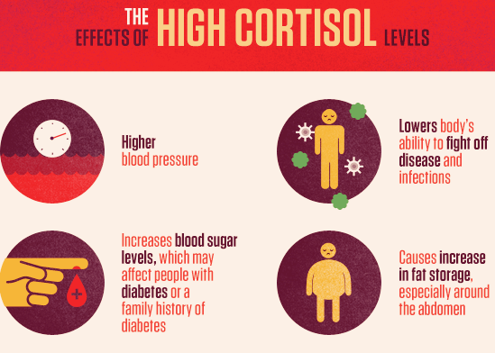 Cortisol is toxic